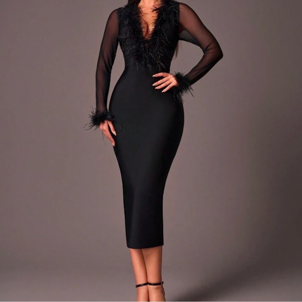 Black V-Neck dress with sheer arms and feathers size small